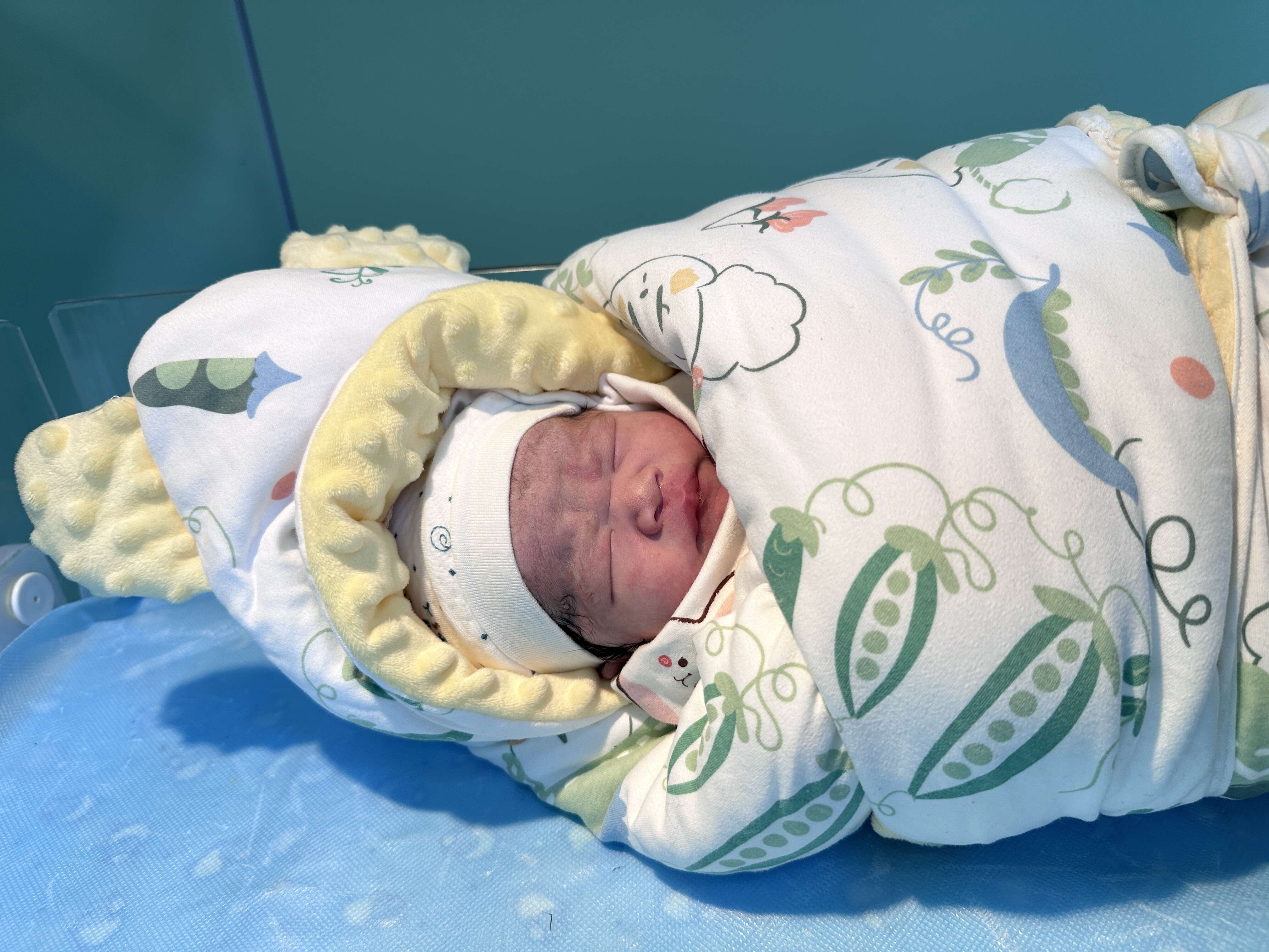 图片1.png 图片1.png